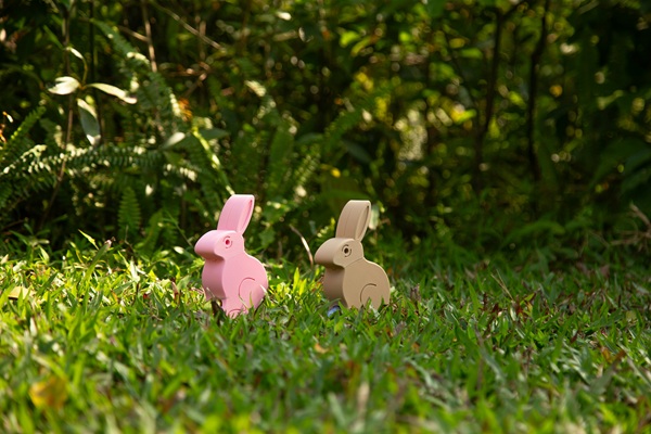 Robot rabbits